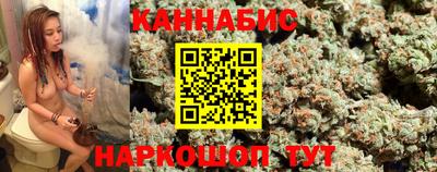 стафф Краснознаменск