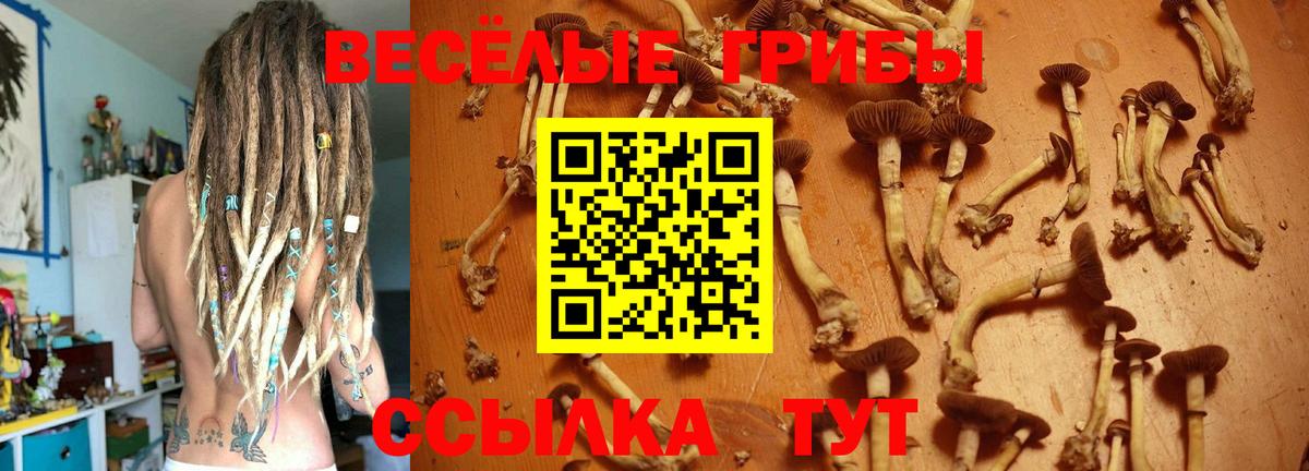 Галлюциногенные грибы MAGIC MUSHROOMS  Галлюциногенные грибы ЛСД  Кимовск  Вход с VPN 