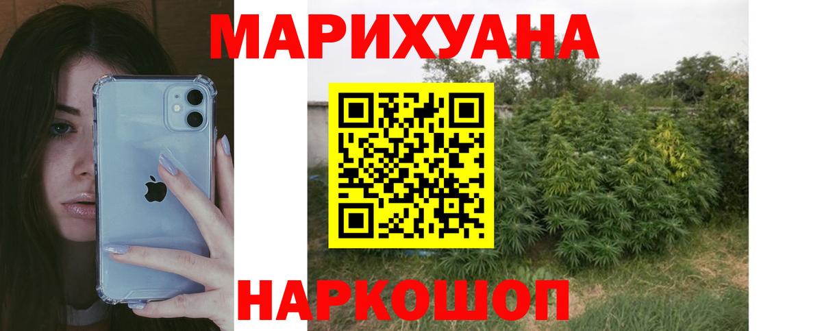 Бошки Шишки конопля  Вход с VPN  МАРИХУАНА марихуана  Кимовск  Марихуана VHQ 